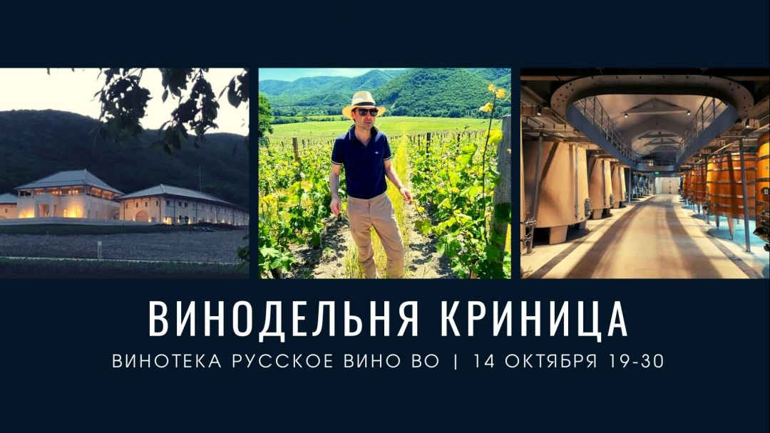 Криница - новая звезда премиального виноделия России.
